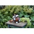 Gartenstecker sitzende Katze mit Marienkäfer