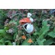 Gartenstecker mit Füssen, Weißer Vogel 3