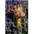 Gartenstecker Giraffenkopf mit gelben Flecken
