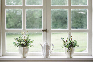 Blumenvasen und Pflanzen als Fensterdeko